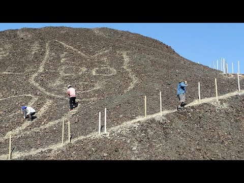 Giant cat drawing discovered on a hillside in Peru
